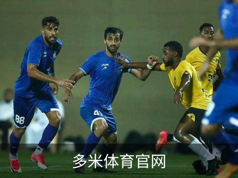 多米体育官网概况